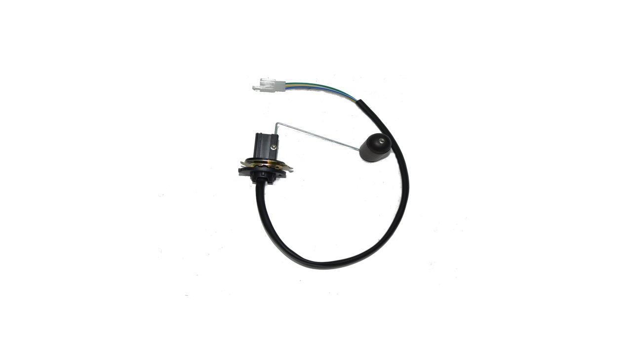 BENZİN ŞAMANDIRASI (BLUEBERRY)